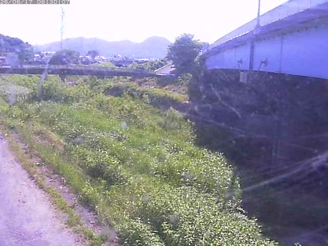 野坂川２2026/06/17 12:00:00