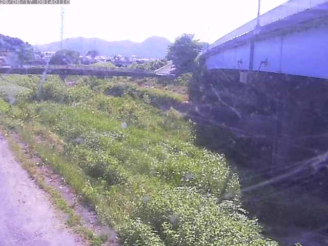 野坂川２2026/06/17 12:00:00