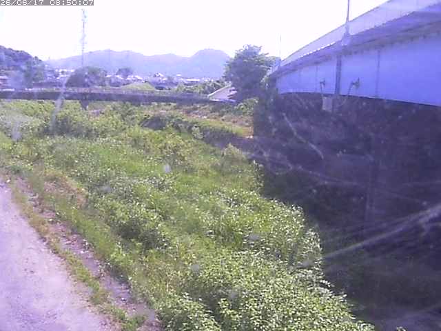 野坂川２2026/06/17 12:00:00