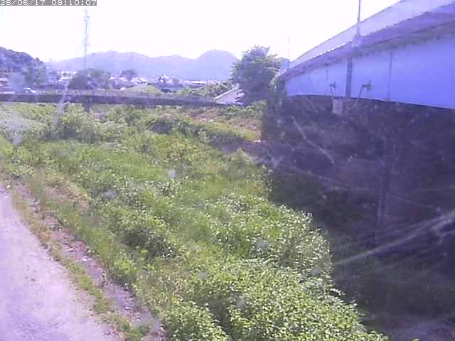 野坂川２2026/06/17 12:00:00