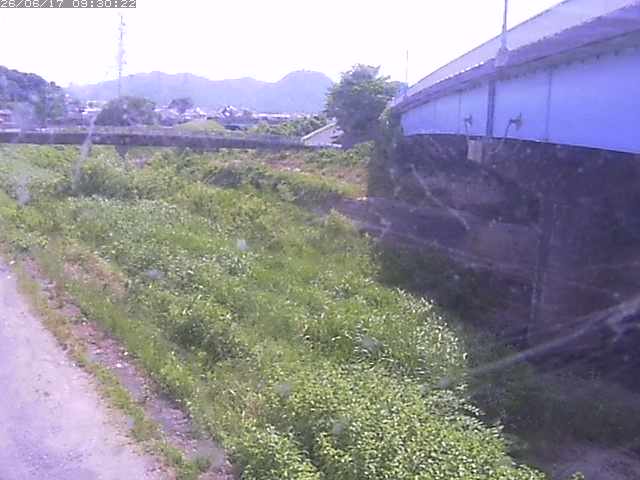 野坂川２2026/06/17 12:00:00