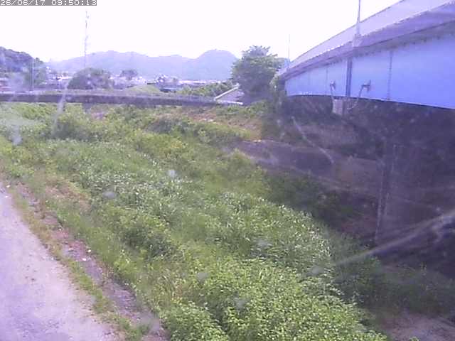 野坂川２2026/06/17 12:00:00