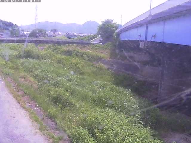 野坂川２2026/06/17 12:00:00