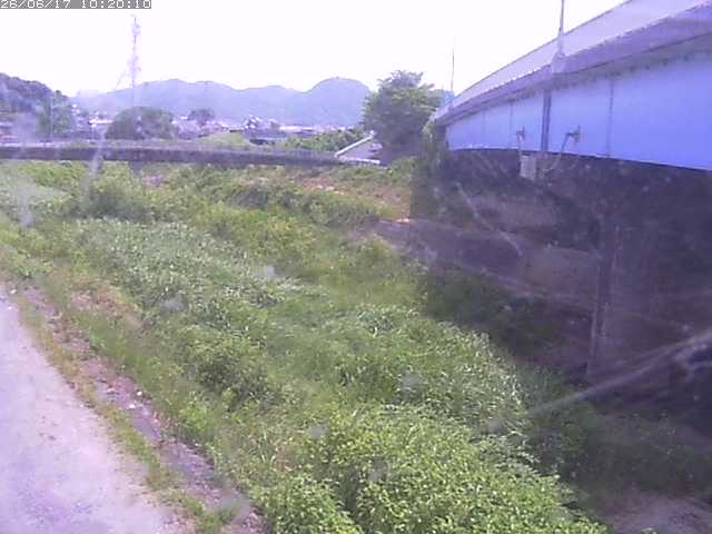 野坂川２2026/06/17 12:00:00