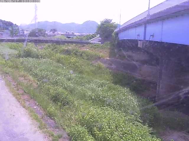野坂川２2026/06/17 12:00:00