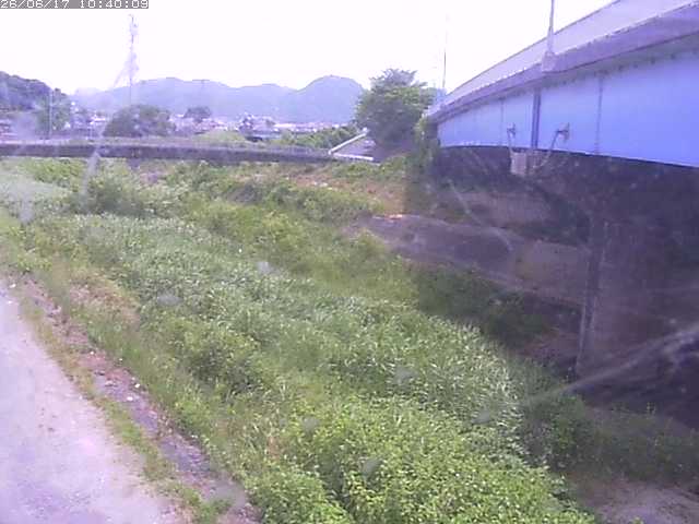野坂川２2026/06/17 12:00:00