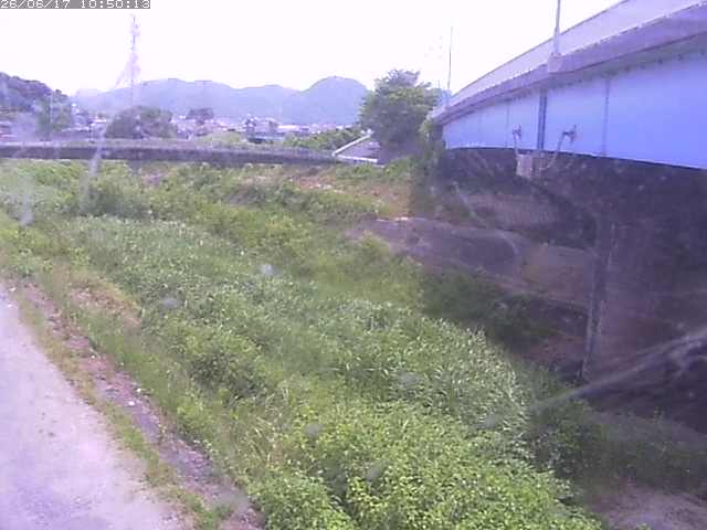野坂川２2026/06/17 12:00:00