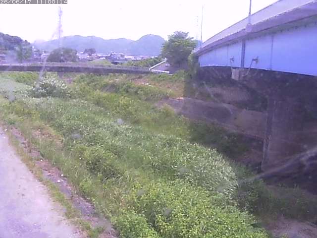 野坂川２2026/06/17 12:00:00