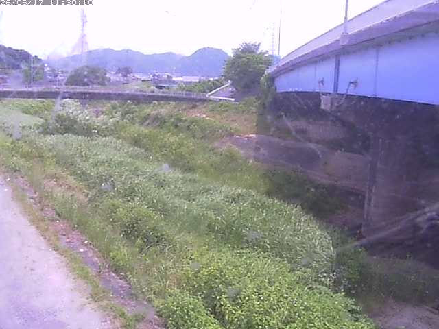 野坂川２2026/06/17 12:00:00