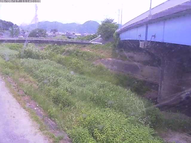 野坂川２2026/06/17 12:00:00