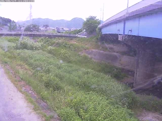 野坂川２2026/06/17 12:00:00