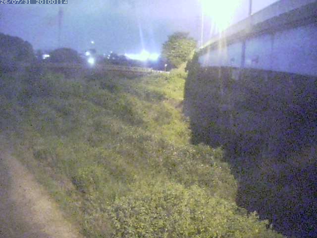 野坂川２2026/08/01 20:50:00