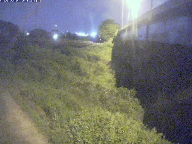 野坂川２2026/08/01 20:50:00