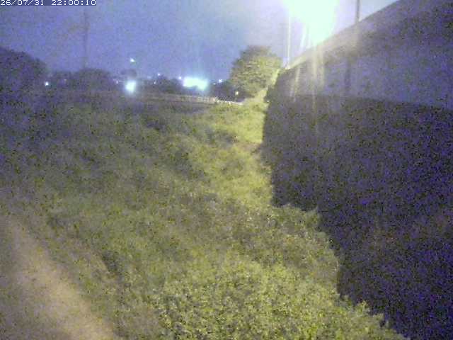 野坂川２2026/08/01 20:50:00