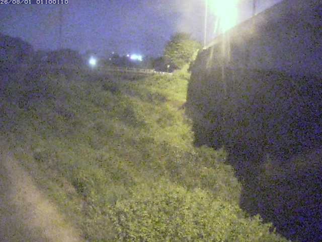 野坂川２2026/08/01 20:50:00