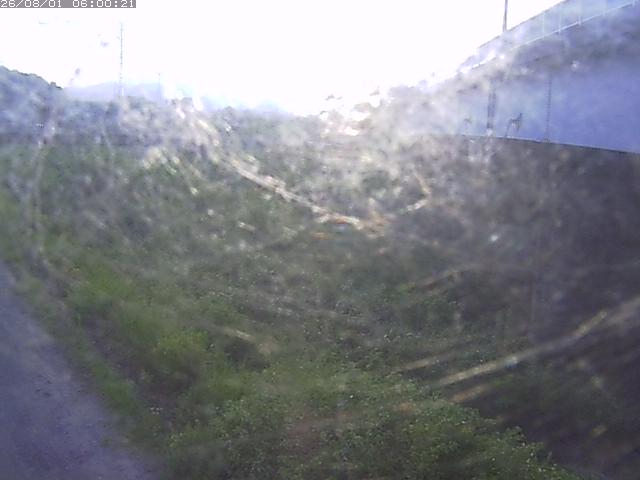 野坂川２2026/08/01 20:50:00