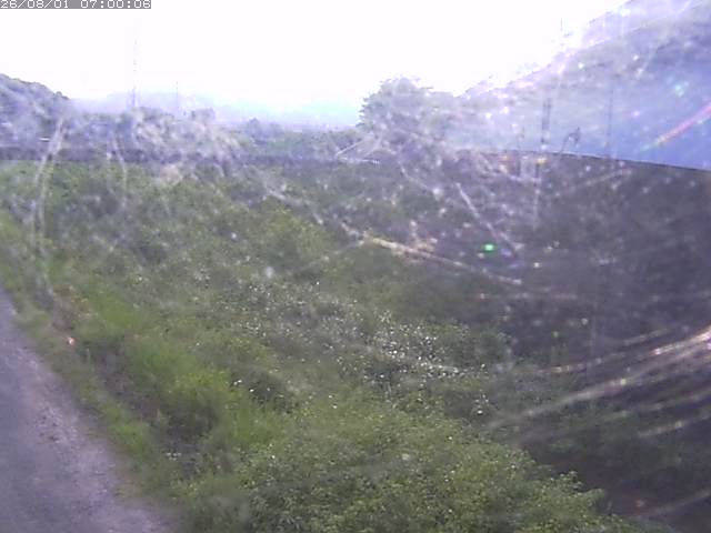 野坂川２2026/08/01 20:50:00