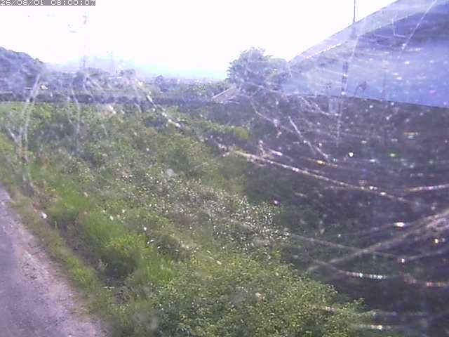 野坂川２2026/08/01 20:50:00