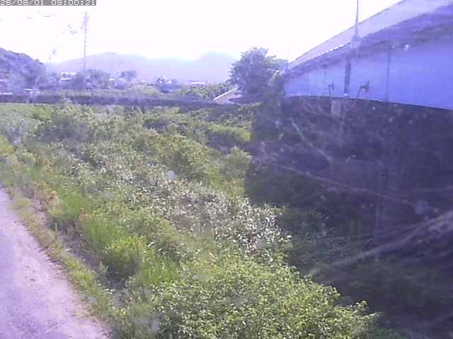 野坂川２2026/08/01 20:50:00