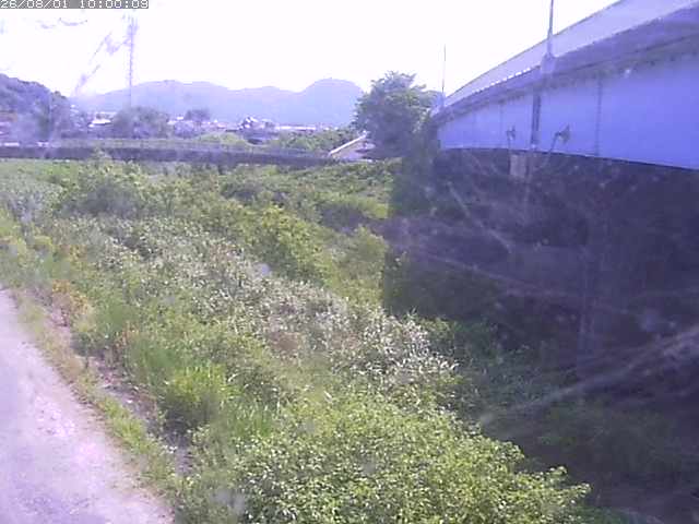 野坂川２2026/08/01 20:50:00
