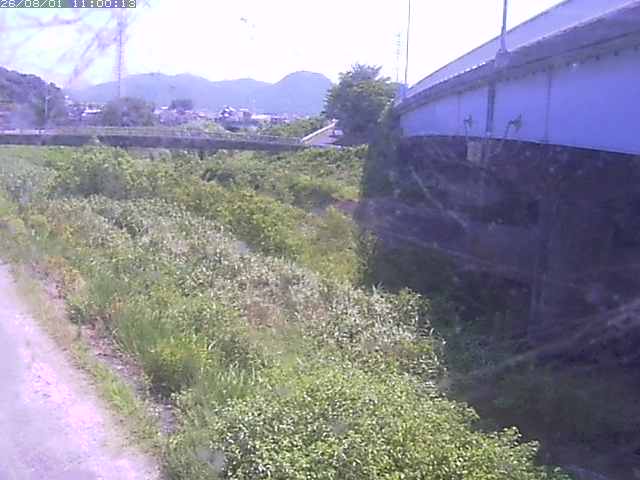 野坂川２2026/08/01 20:50:00