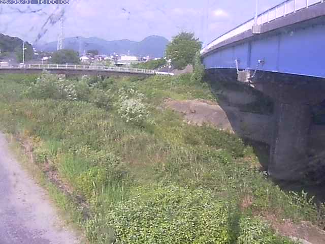 野坂川２2026/08/01 20:50:00