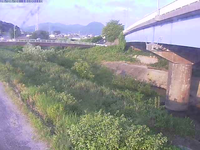 野坂川２2026/08/01 20:50:00
