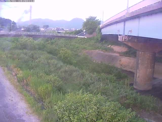 野坂川２2026/08/01 20:50:00