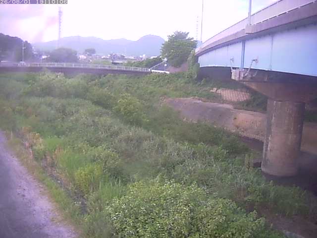 野坂川２2026/08/01 20:50:00