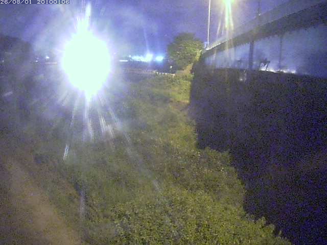 野坂川２2026/08/01 20:50:00