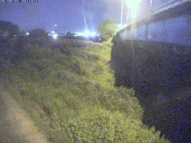 野坂川２2026/08/01 20:50:00