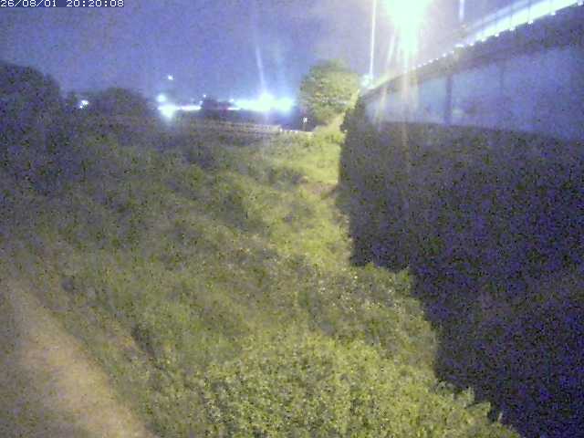 野坂川２2026/08/01 20:50:00