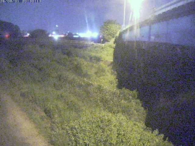 野坂川２2026/08/01 20:50:00