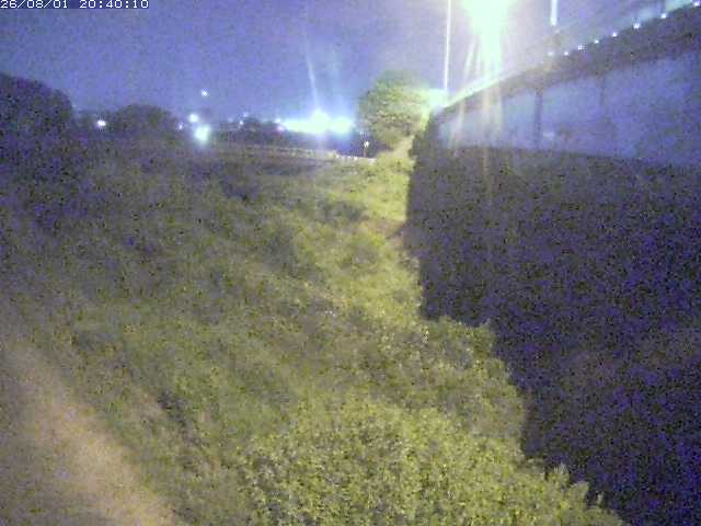 野坂川２2026/08/01 20:50:00