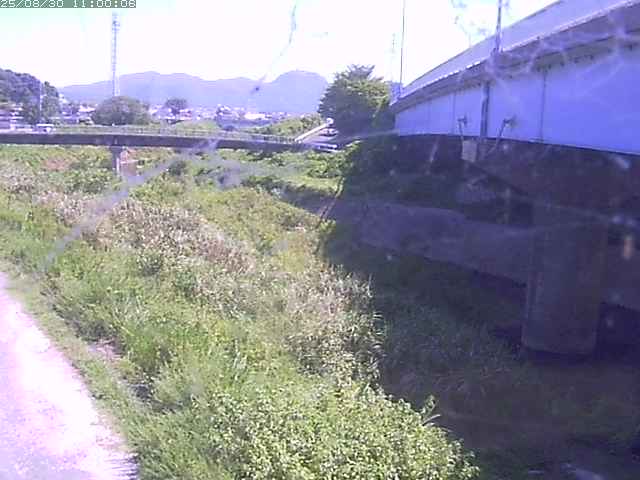 野坂川２2025/08/31 9:10:00