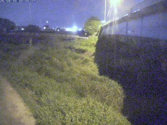 野坂川２2025/08/31 9:10:00