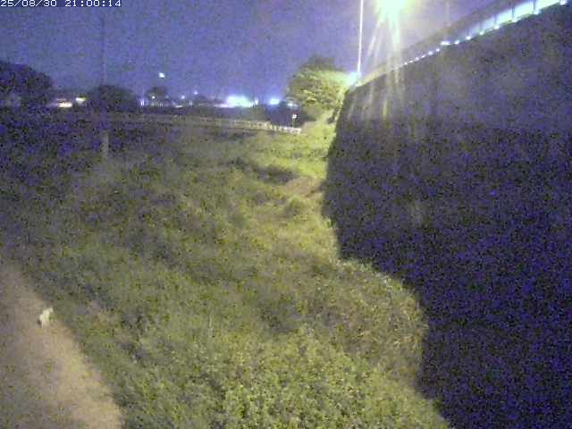 野坂川２2025/08/31 9:10:00