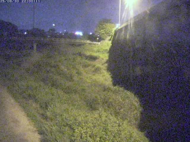 野坂川２2025/08/31 9:10:00