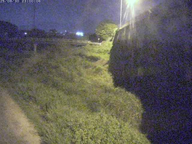 野坂川２2025/08/31 9:10:00