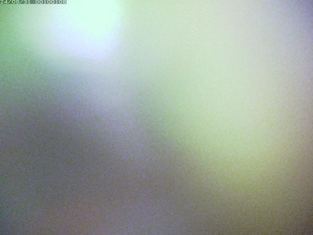 野坂川２2025/08/31 9:10:00