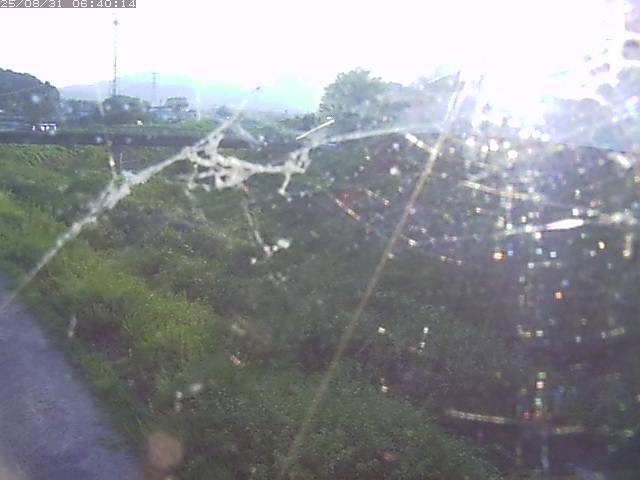 野坂川２2025/08/31 9:10:00