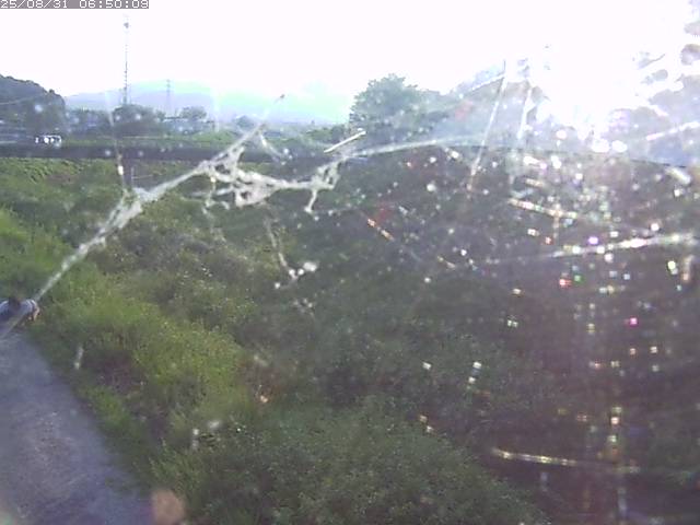野坂川２2025/08/31 9:10:00