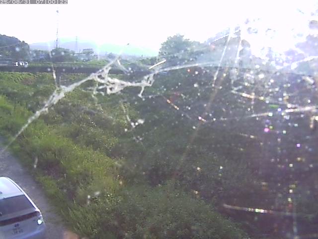 野坂川２2025/08/31 9:10:00