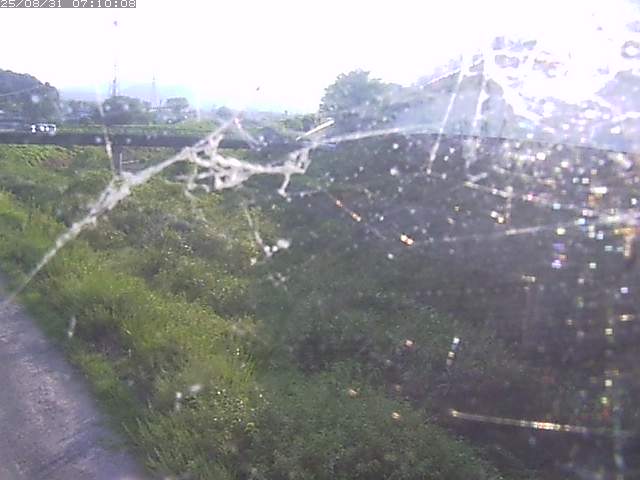 野坂川２2025/08/31 9:10:00