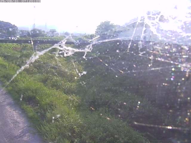野坂川２2025/08/31 9:10:00