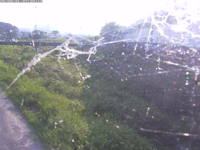野坂川２2025/08/31 9:10:00