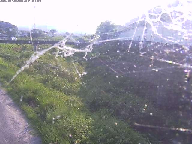 野坂川２2025/08/31 9:10:00