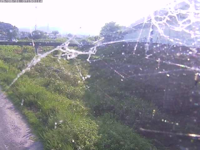 野坂川２2025/08/31 9:10:00