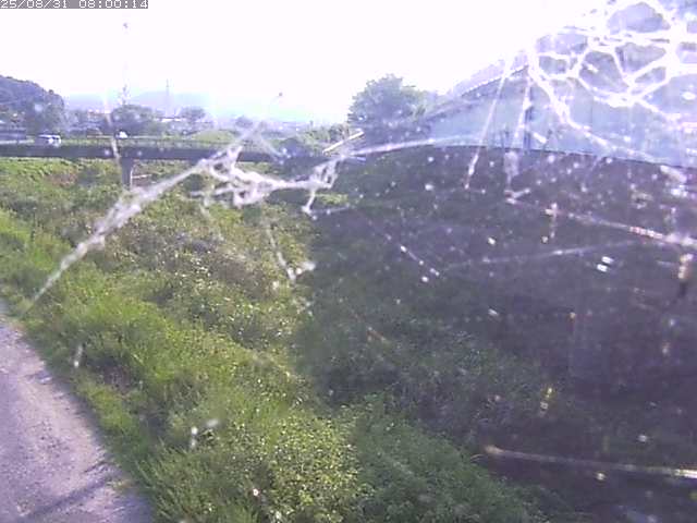 野坂川２2025/08/31 9:10:00