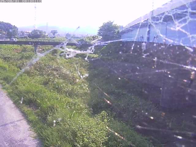 野坂川２2025/08/31 9:10:00